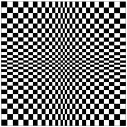 Carré progressif, 2004